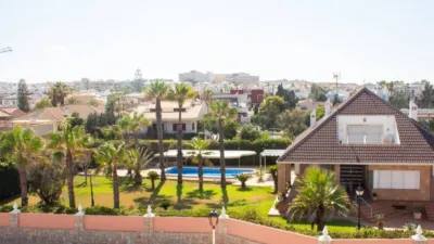 Apartment in Torrevieja photo 24