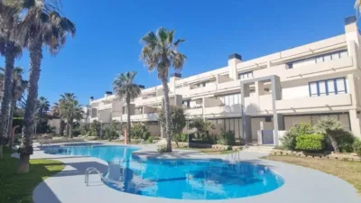 Apartment in Torrevieja photo 25