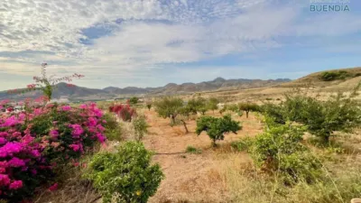 Rustic house in La Hoya-Almendricos-Purias photo 10