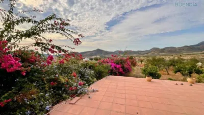 Rustic house in La Hoya-Almendricos-Purias photo 11