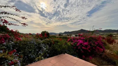 Rustic house in La Hoya-Almendricos-Purias photo 3