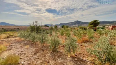 Rustic house in La Hoya-Almendricos-Purias photo 30