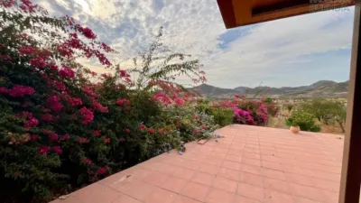 Rustic house in La Hoya-Almendricos-Purias photo 6