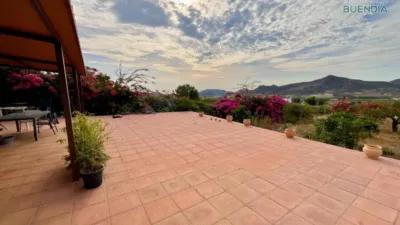 Rustic house in La Hoya-Almendricos-Purias photo 7