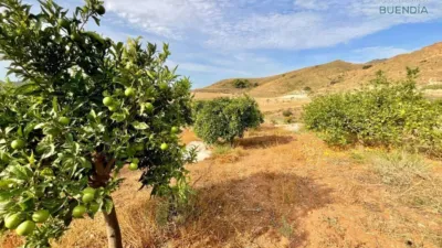 Rustic house in La Hoya-Almendricos-Purias photo 9