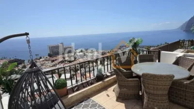 House in Acantilado de los Gigantes photo 3