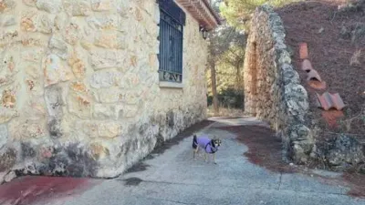 Chalet in Trillo photo 15