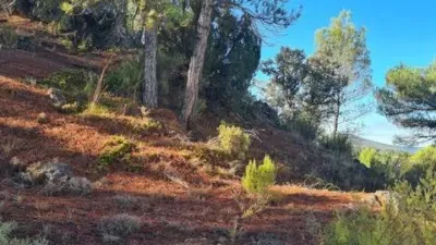 Chalet in Trillo photo 24