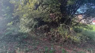 Terreno en venta en Parroquias - Vista 2