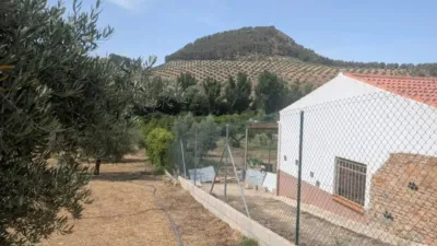 Rustic house in Alcaudete photo 2