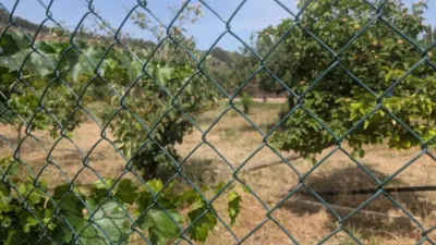 Rustic house in Alcaudete photo 7