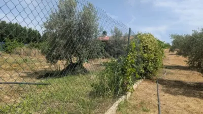 Rustic house in Alcaudete photo 8