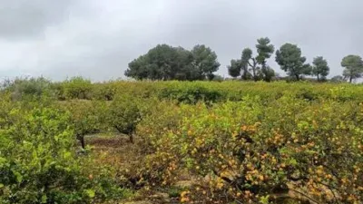 Terreno en venta en Almoradí - Vista 5