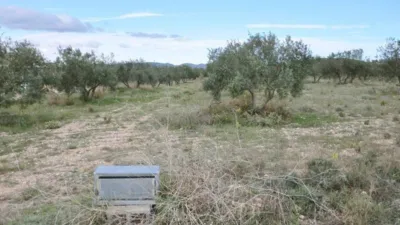 Terreno en venta en Sax - Vista 2