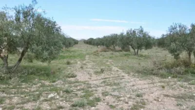 Terreno en venta en Sax - Vista 3