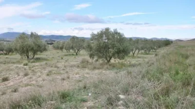 Terreno en venta en Sax - Vista 5