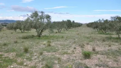 Terreno en venta en Sax - Más