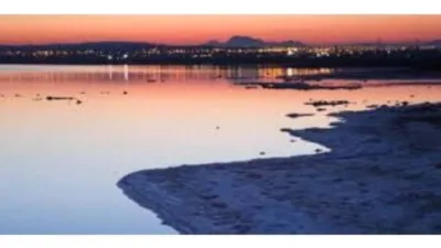 Terreno en venta en Matola-La Foia-Las Bayas-La Marina - Vista 5
