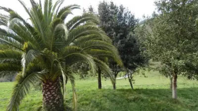 Chalet en venta en Valdés - Więcej