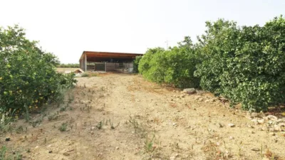 Rustic house in Campanillas photo 14
