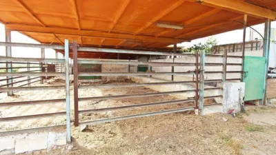 Rustic house in Campanillas photo 15