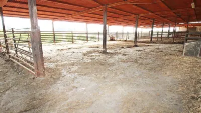 Rustic house in Campanillas photo 16