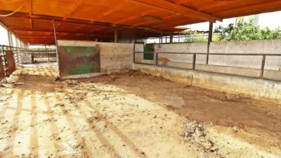 Rustic house in Campanillas photo 19