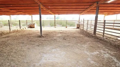 Rustic house in Campanillas photo 20