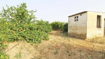 Rustic house in Campanillas photo 26