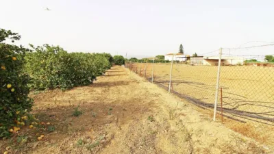 Rustic house in Campanillas photo 28