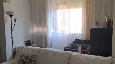 Apartment in Pino Montano photo 4