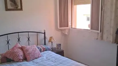Apartment in Pino Montano photo 8