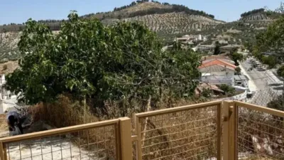 Chalet in Alcaudete photo 6