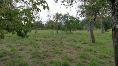 House in A Canda (Piñor) photo 8