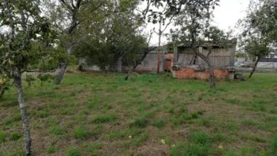 House in A Canda (Piñor) photo 9