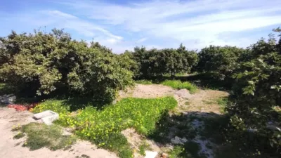 Terreno en venta en Formentera del Segura - Vista 4