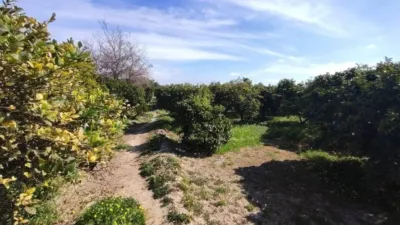 Terreno en venta en Formentera del Segura - Més