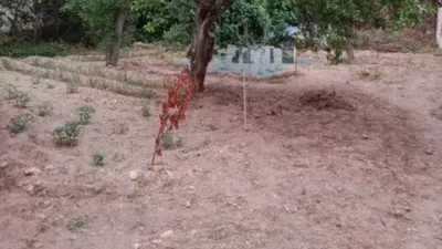 Casa – Aguas Cándidas - Vista 4