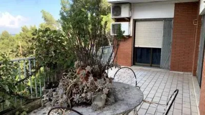Chalet in Fontpineda photo 26