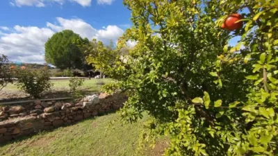 Chalet rústico en venta en Calle Cabeza Montegil, Cantillana de 130.000 €