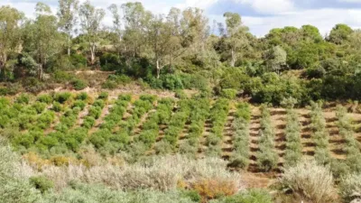 Chalet rústico en venta en Calle Cabeza Montegil, Cantillana de 130.000 €
