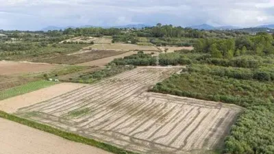 Terreno en venta en Muro de Alcoy - Más