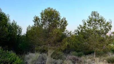 Terreno en venta en Urbanitzacions - Vista 4