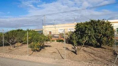 Rustic house in Pozo Estrecho photo 5
