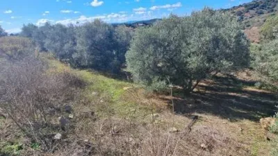 Chalet in Casares Area photo 5