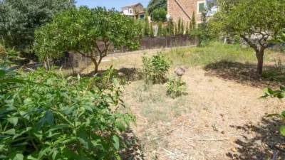 Chalet in Sóller photo 4