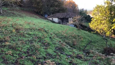 Rustic house in Oleiros (Silleda) photo 3