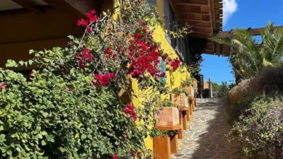 Rustic house in Palamós photo 2