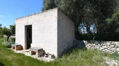 Rustic house in Felanitx photo 22