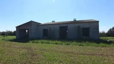 Rustic house in Felanitx photo 3